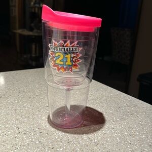 Tervis “officially 21” wine glass cup.